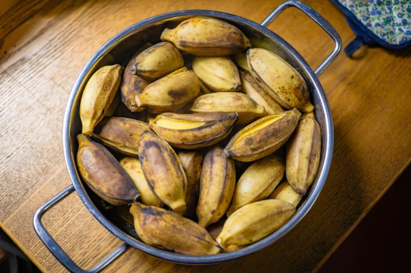 Flour Power, Tropical Style: How Cassava, Coconut, and Plantain Are Quietly Rewriting American Baking