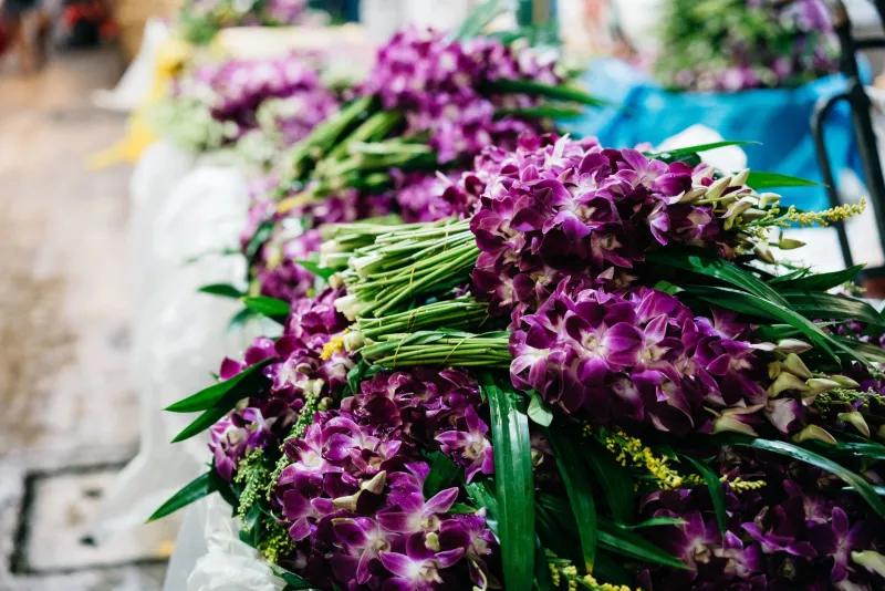 Ditch the Vanilla: Why Orchid, Ylang-Ylang, and Hibiscus Extracts Are the New Secret Weapon in American Kitchens