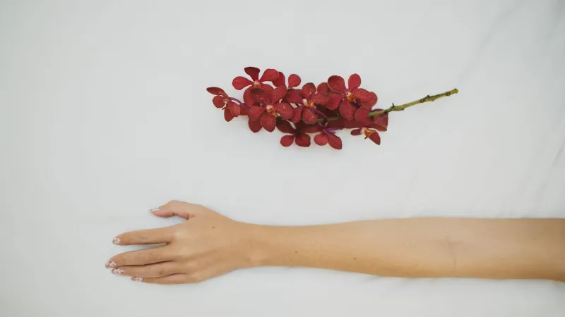 From Your Smoothie to Your Skincare Shelf: How Hibiscus, Orchid, and Plumeria Are Changing the Beauty Game